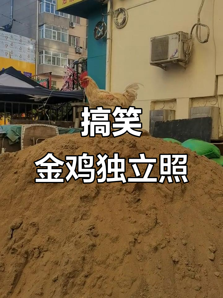 金鸡独立大作战,拍照造型太搞笑了!