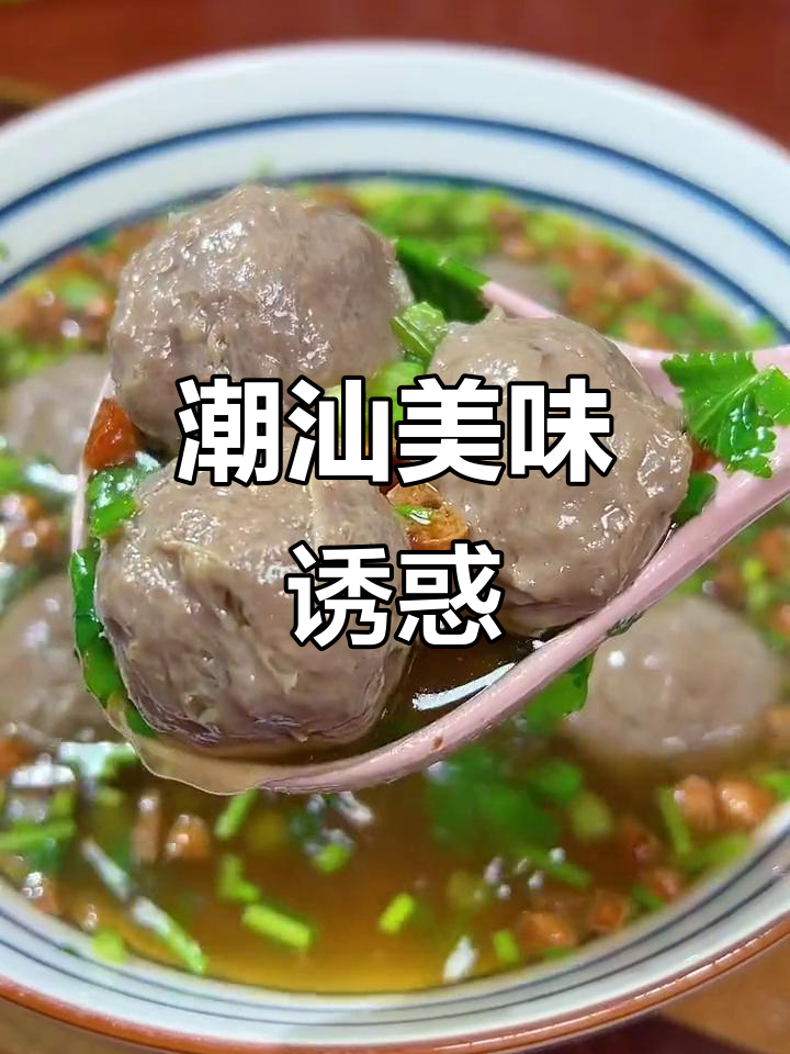 牛肉丸劲道十足,吃一次就停不下来,潮汕之行更添期待!