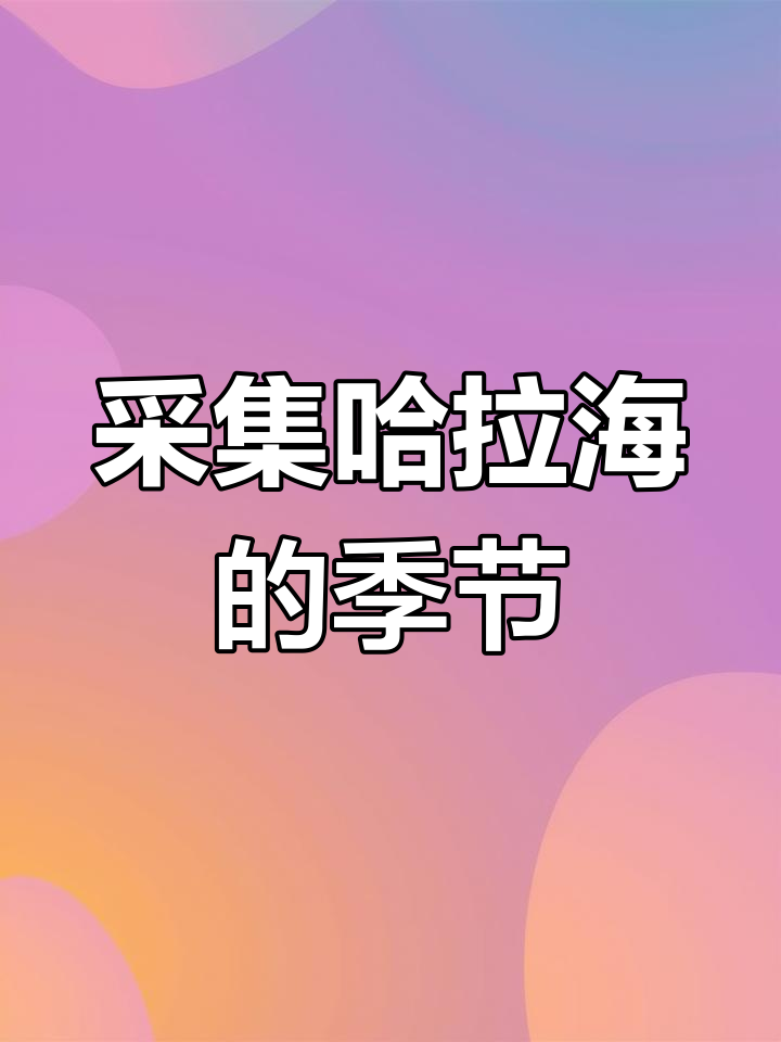 赤峰特色野菜哈拉海采摘指南