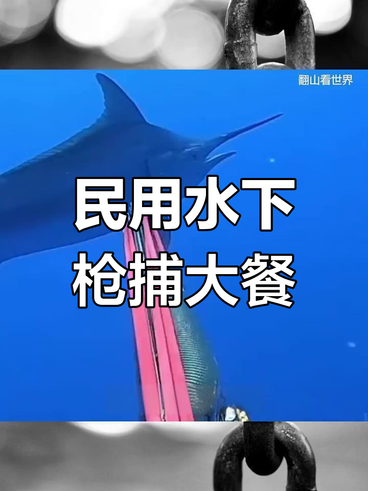 水下射鱼器:轻松捕获鲨鱼和龙虾,注意别误杀美人鱼