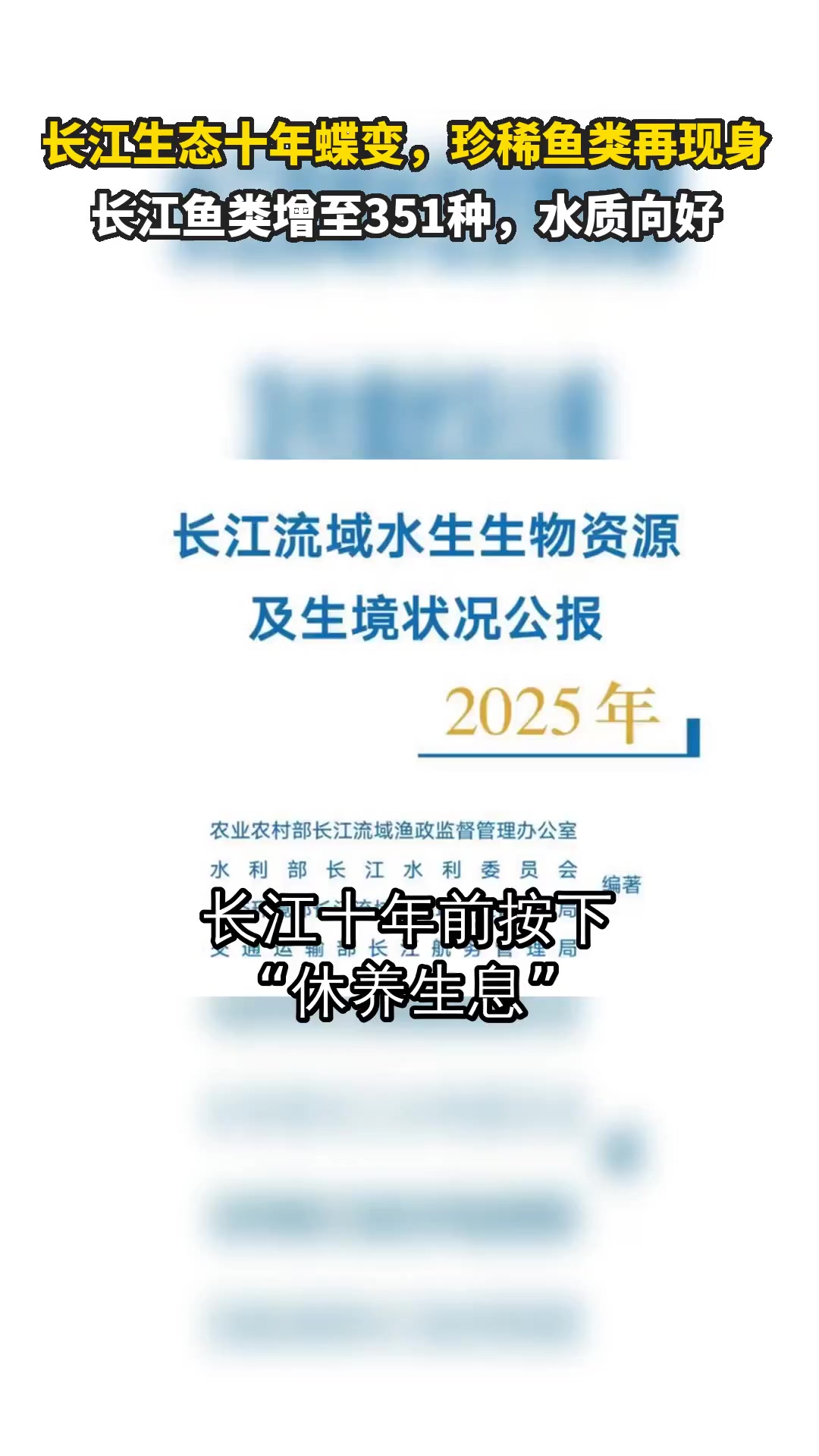 长江生态十年蝶变,珍稀鱼类再现身 长江鱼类增至351种,水质向好