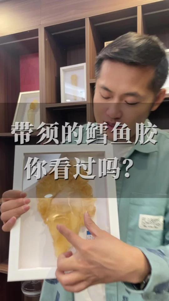 带须的鳕鱼胶你见过吗?