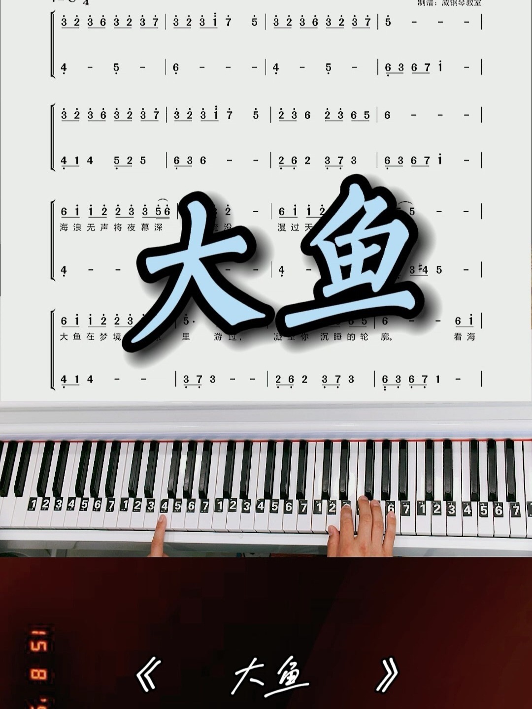 大鱼海棠《大鱼》钢琴教学改编简易版来啦
