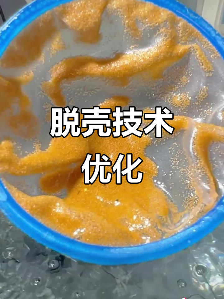 脱壳处理提升丰年虾产量,降低有害菌对水产养殖的影响