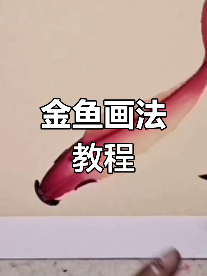 赵习恒老师教你画金鱼,轻松掌握小写意花鸟技巧