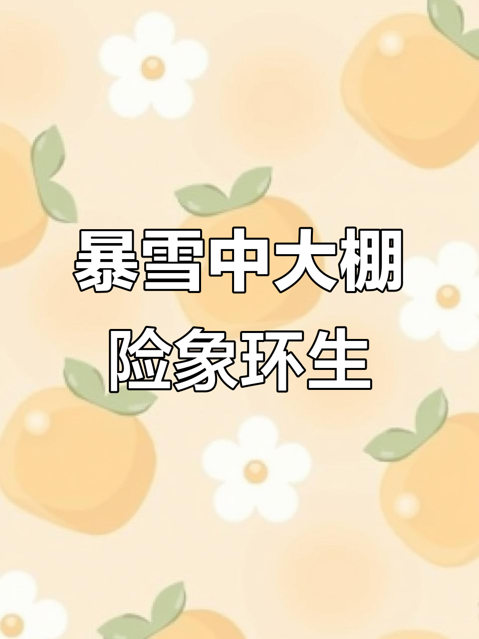 大雪压塌大棚，连体盆成“拦路虎”，多肉种植基地艰难应对