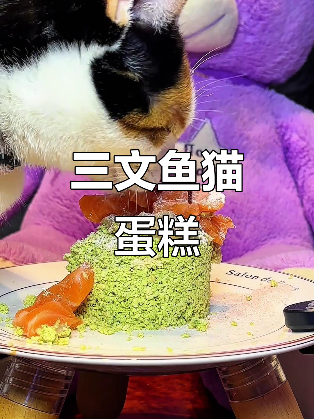 猫咪三文鱼塔塔,美毛又美味!