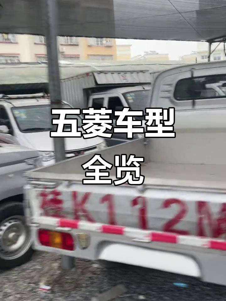 店里五菱车型多样,小货车与面包车任选