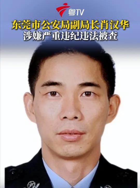 据“廉洁东莞”消息,东莞市公安局党委委员、副局长肖汉华涉嫌严重违纪违法,目前正接受东莞市纪