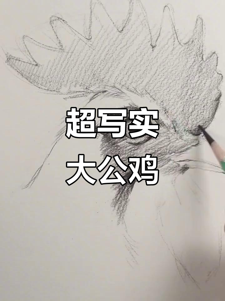 素描公鸡教程：从机关到毛发，超写实技巧全解析