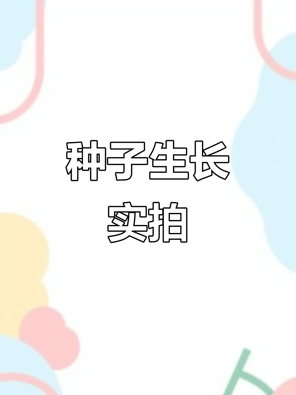 4月12日种子发芽成长全纪录,真实展现耕耘收获