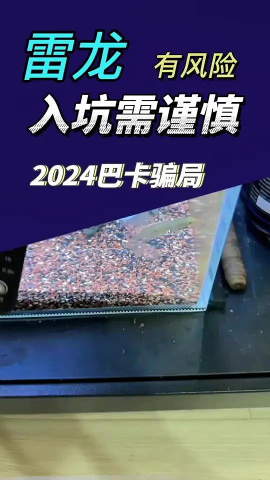 雷龙有风险 入坑需谨慎——2024巴卡骗局 巴卡雷龙 黄金眼镜蛇雷龙 雷龙鱼 观赏鱼 雷龙