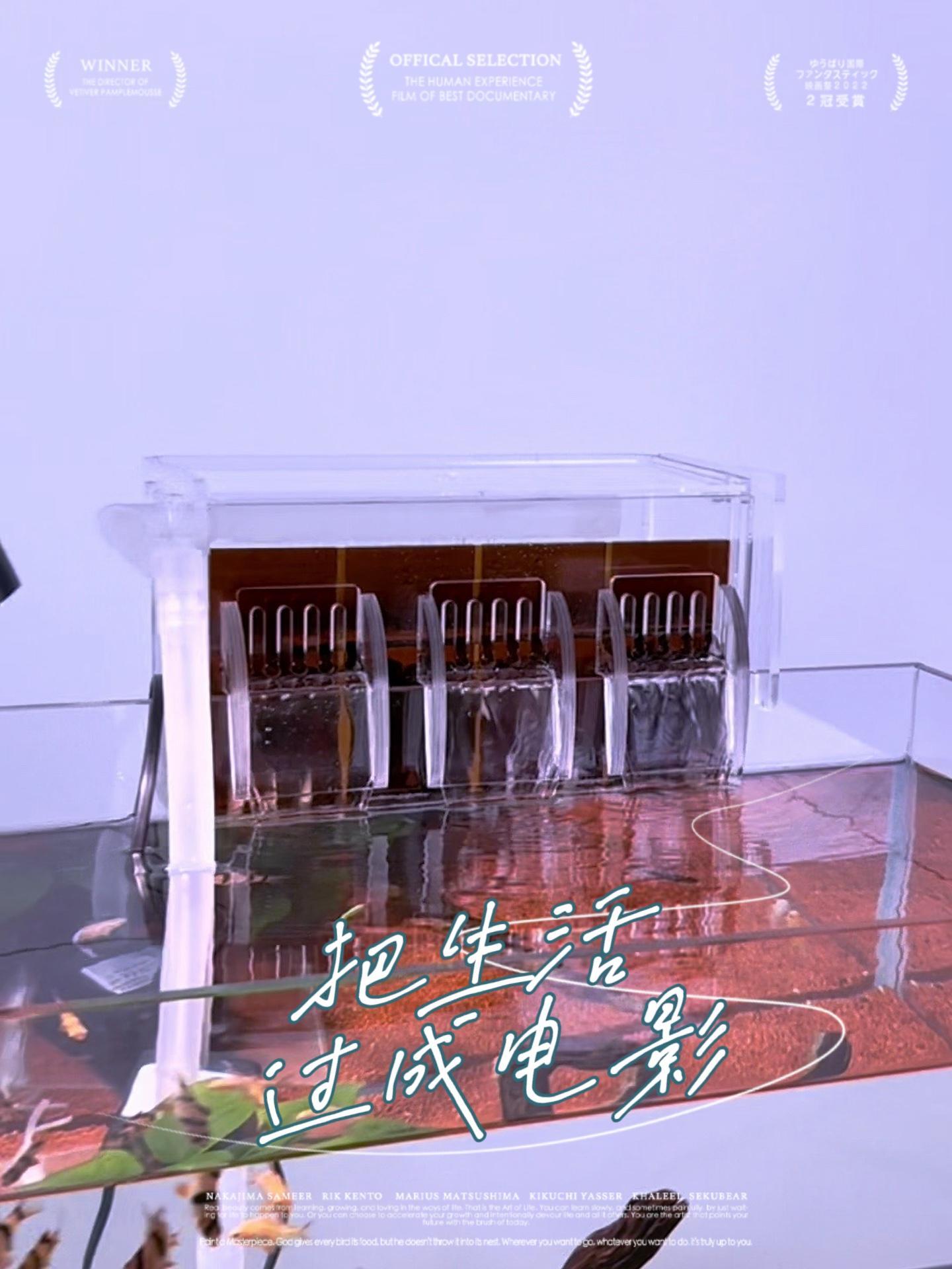 这鱼缸过滤美爆了 养鱼日记 鱼缸过滤 过滤系统 过滤器