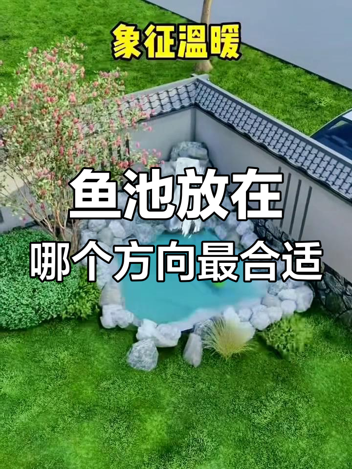庭院鱼池最佳方位揭秘,选对位置好运连连