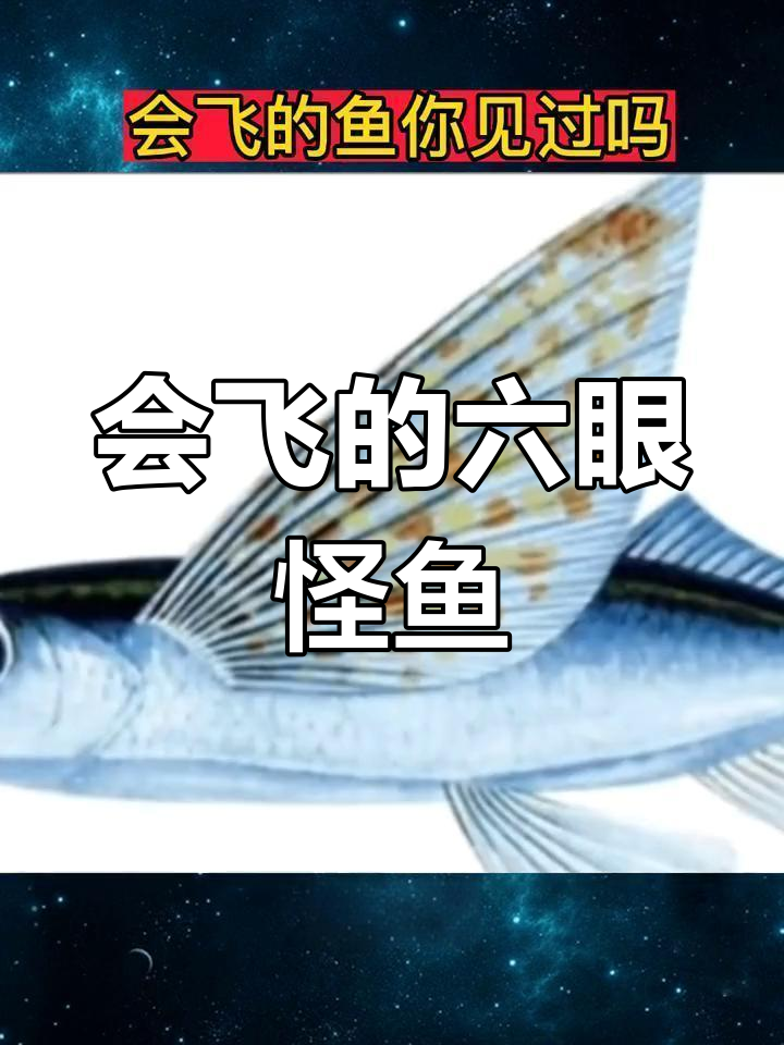 远古飞鱼:山海经中的神秘生物