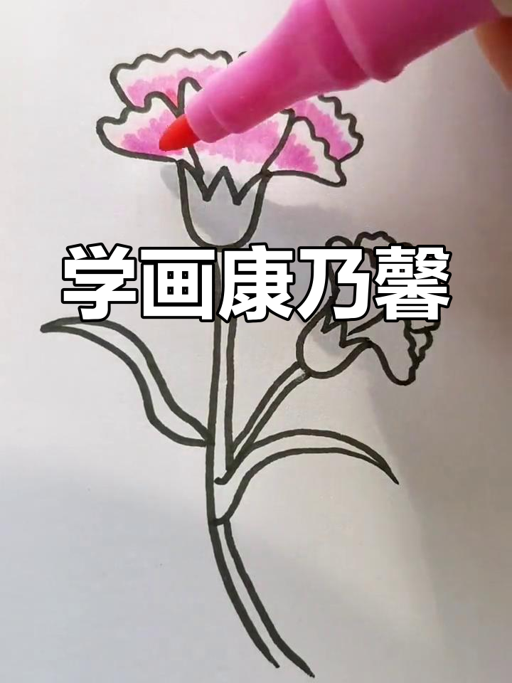 康乃馨简笔画教程,轻松学会