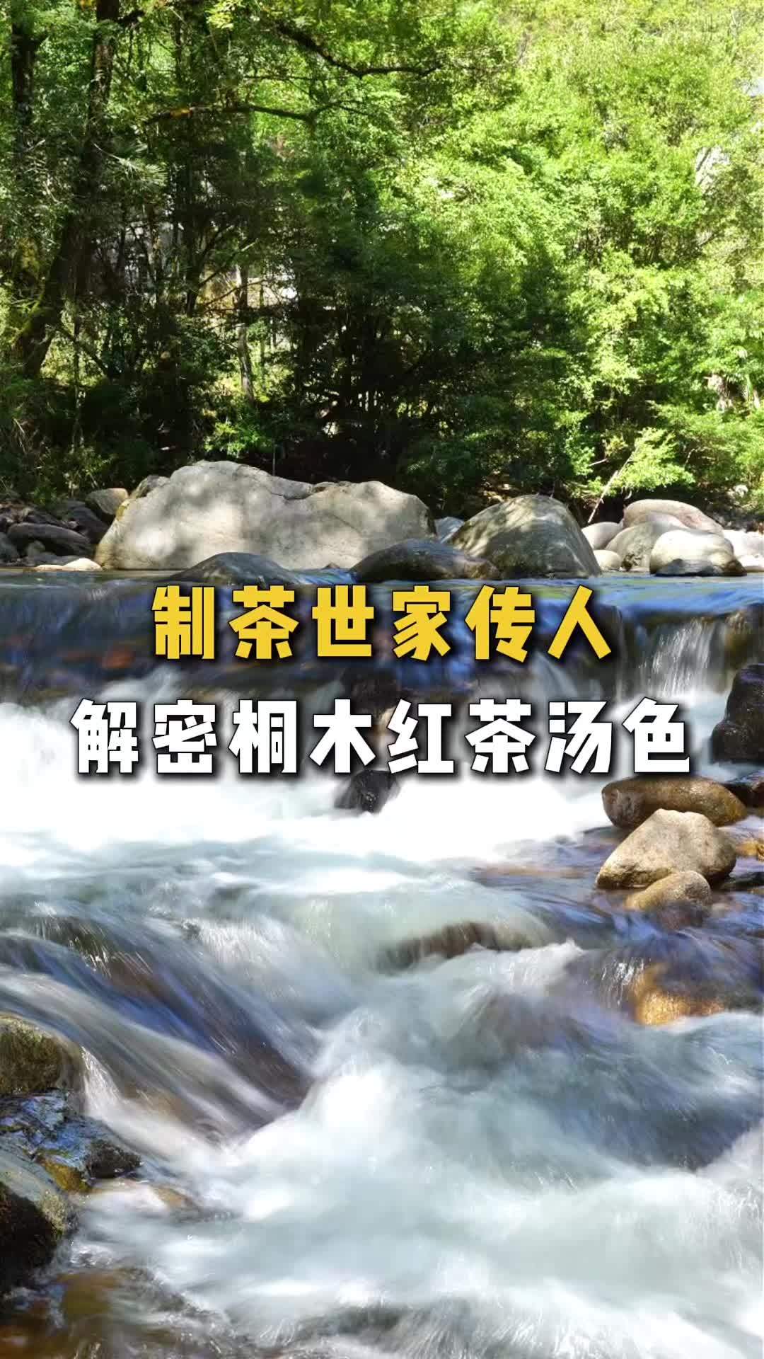武夷山桐木关内的红茶,不管是正山小种,还是金骏眉,汤色都较浅,偏金黄透亮,而非深色,背后的
