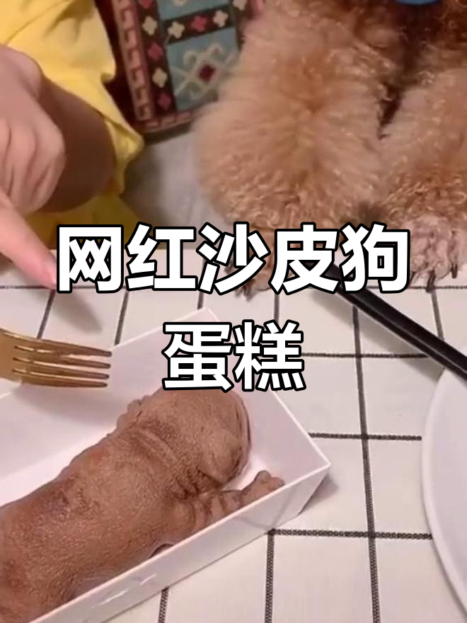 沙皮狗蛋糕:一款逼真慕斯,吃上一口就停不下来