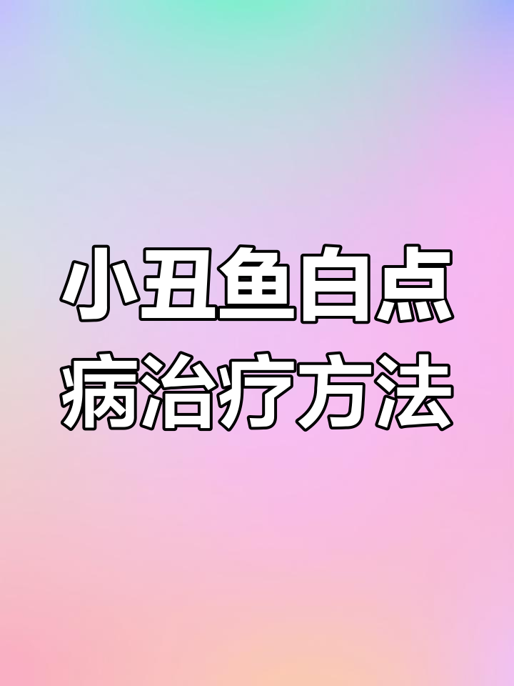 小丑鱼白点病治疗全攻略:从简易缸到药物治疗