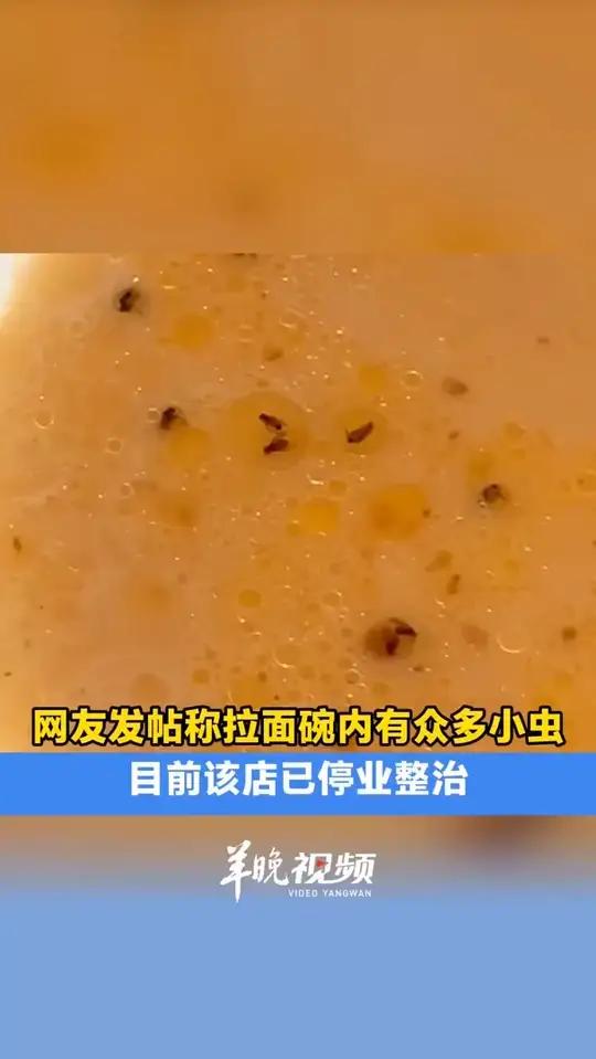 近日,有网友发帖称其在深圳宝安宏发领域荟店味千拉面就餐时,在碗里发现了多只黑色小虫。该网友