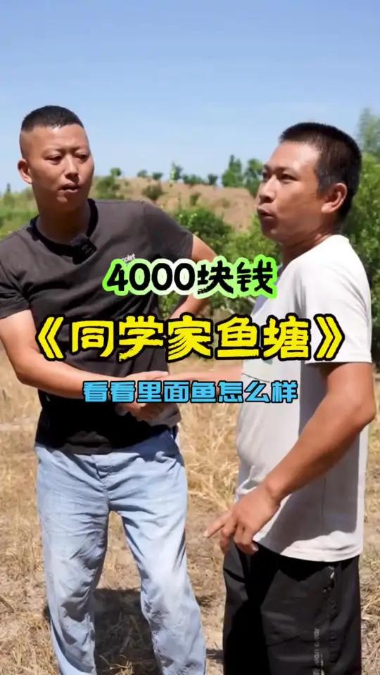 花4000块钱包下老同学朋友家的鱼塘,看看里面的鱼怎么样……小飞哥 真实户外 徒手抓鱼 金