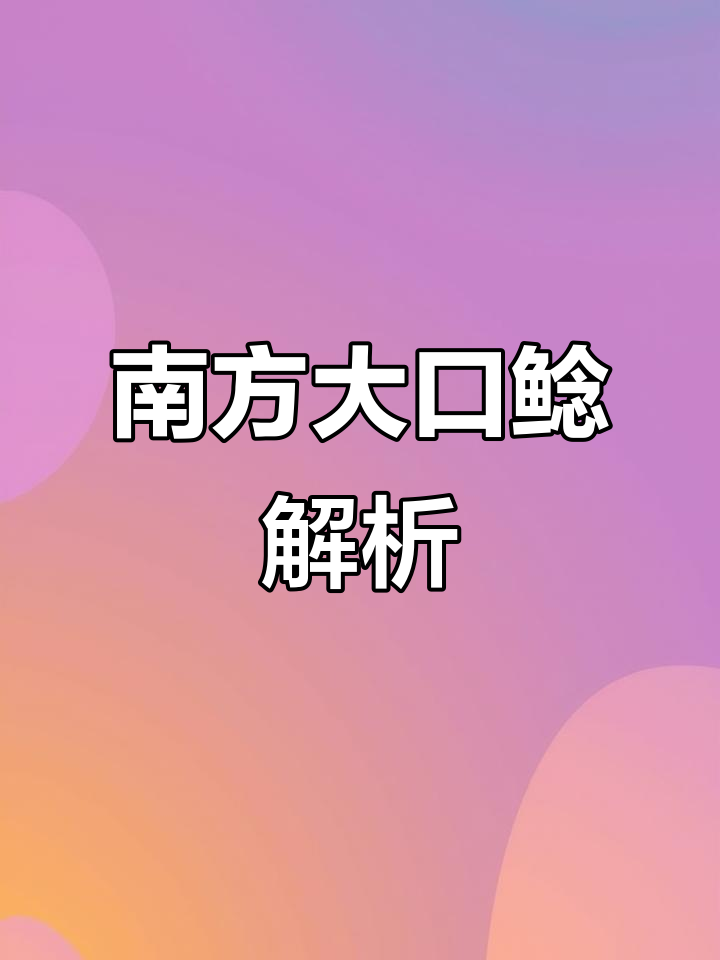 大口鲶与本土鲶鱼的区别,了解南方特色水产品