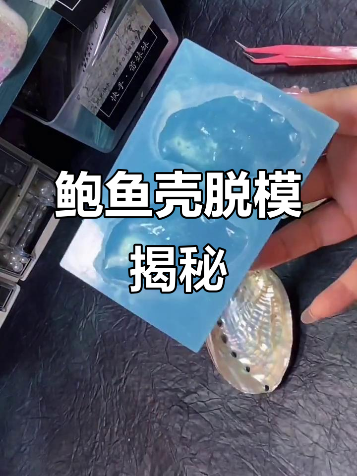 脱模鲍鱼壳,竟然是这样的效果!