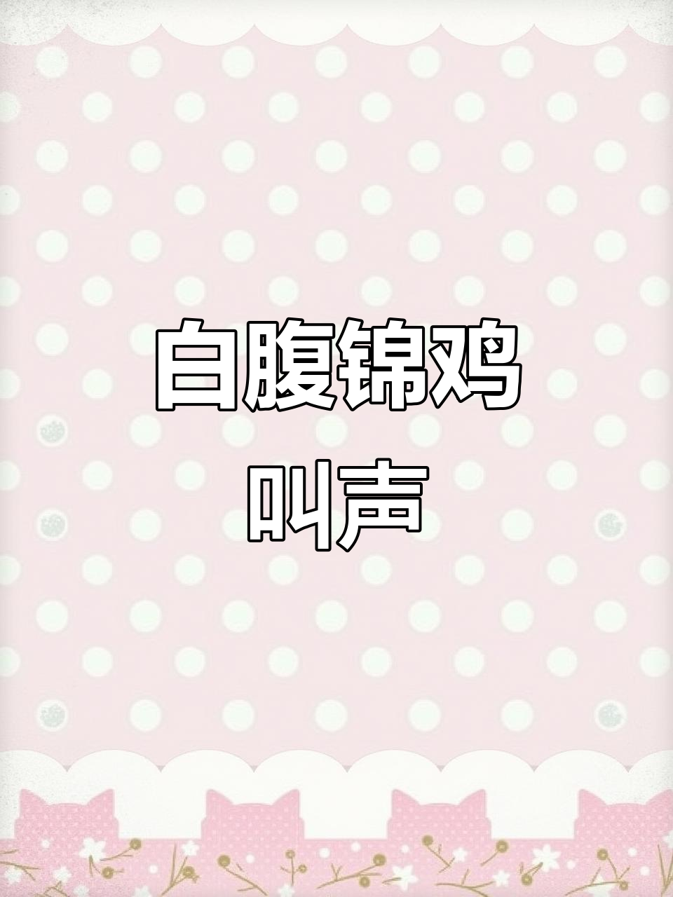 白腹锦鸡鸣叫,带你聆听大自然的真实声音