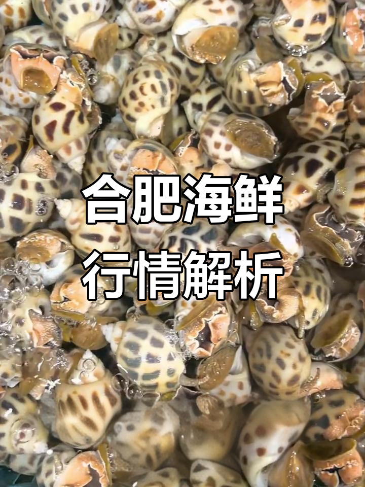 合肥海鲜市场价格大揭秘:帝王蟹、龙虾等一应俱全