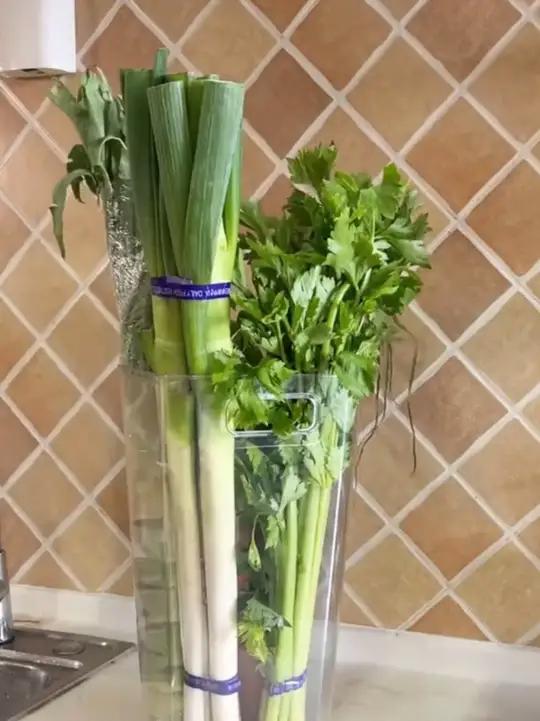 壁挂大葱山药收纳盒家用多功能大容量厨房免打孔蔬菜壁挂储物盒