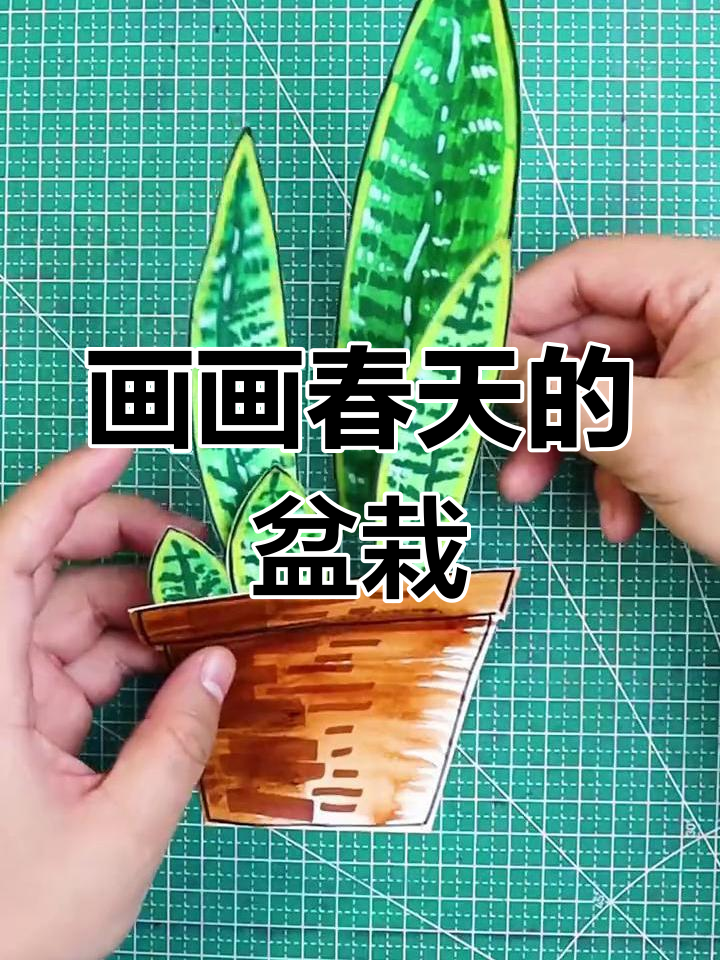 春天盆栽创意画,轻松画出可爱植物
