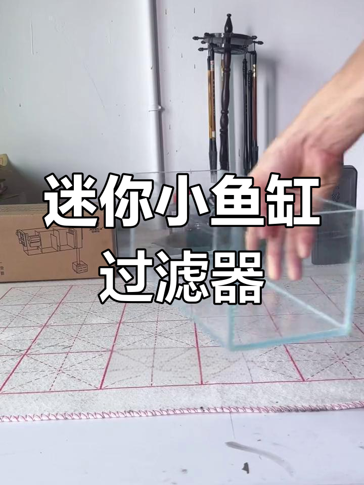 小鱼缸改造:顶部过滤让空间更充足,效果惊艳