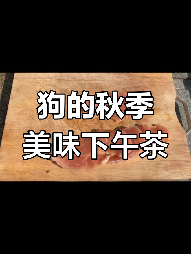 秋天里的狗生盛宴,亲手做卷饼和鸡胸肉蔬菜沙拉