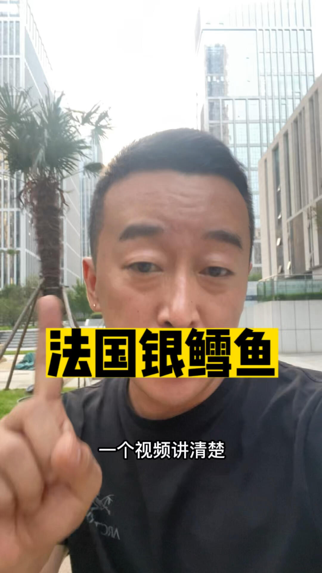 银鳕鱼和法国银鳕鱼