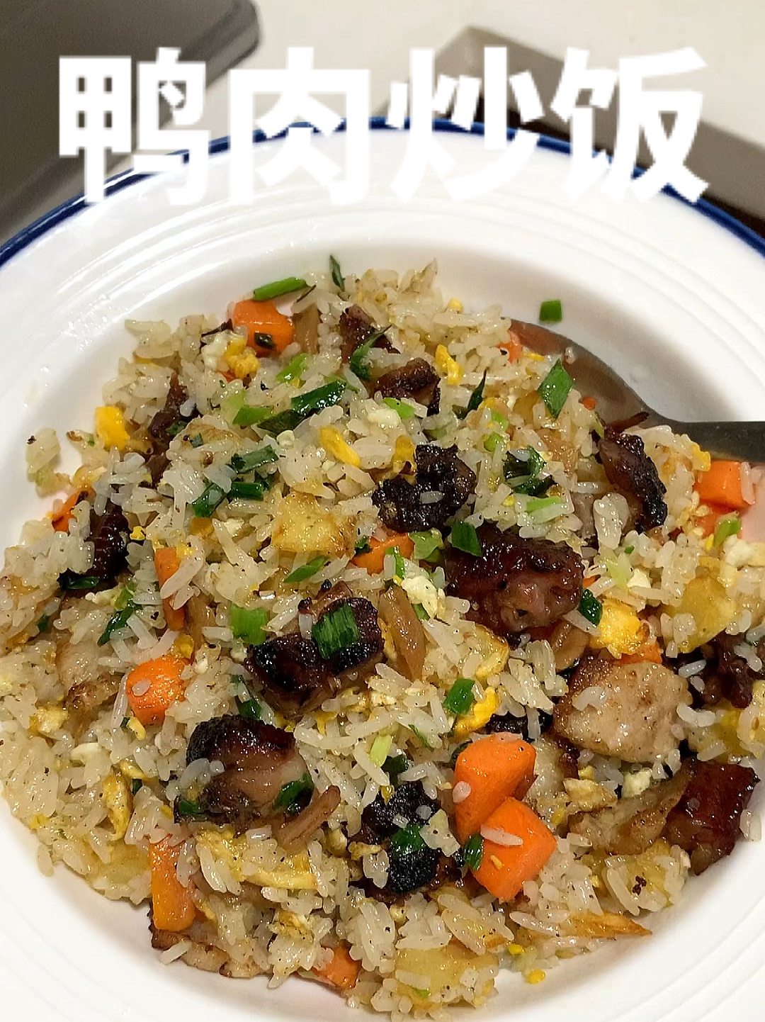 我要向全世界安利的鸭肉炒饭!