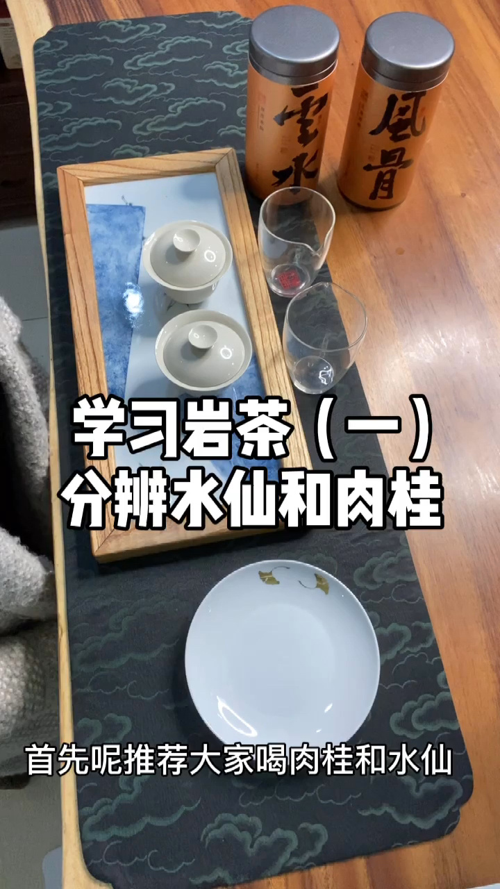 学习岩茶(一)分辨水仙和肉桂