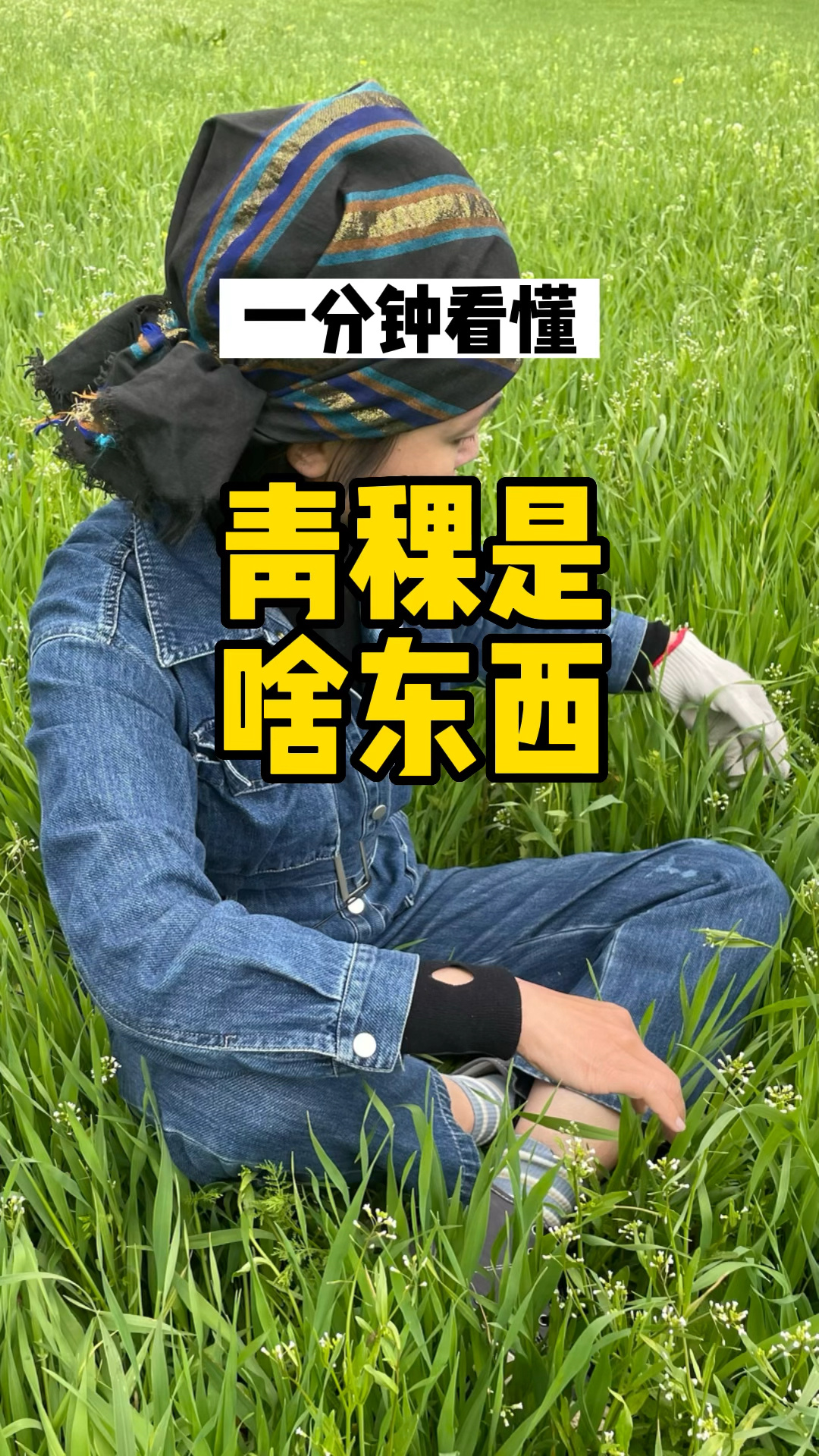青稞和小麦大麦的区别?怎么种怎么晒怎么吃