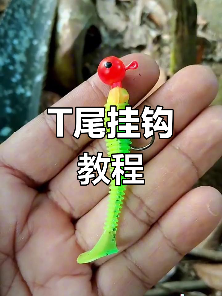 初学者必看!T尾软虫挂钩技巧,轻松上手钓鱼