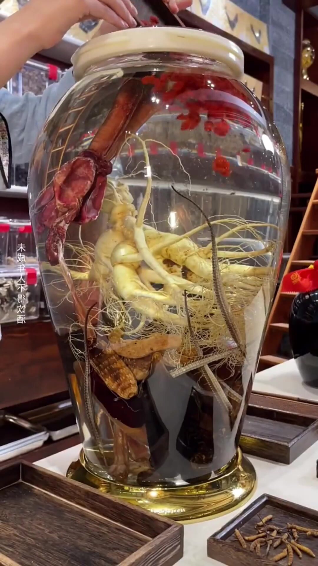药酒大全 老中医泡药酒配方大全