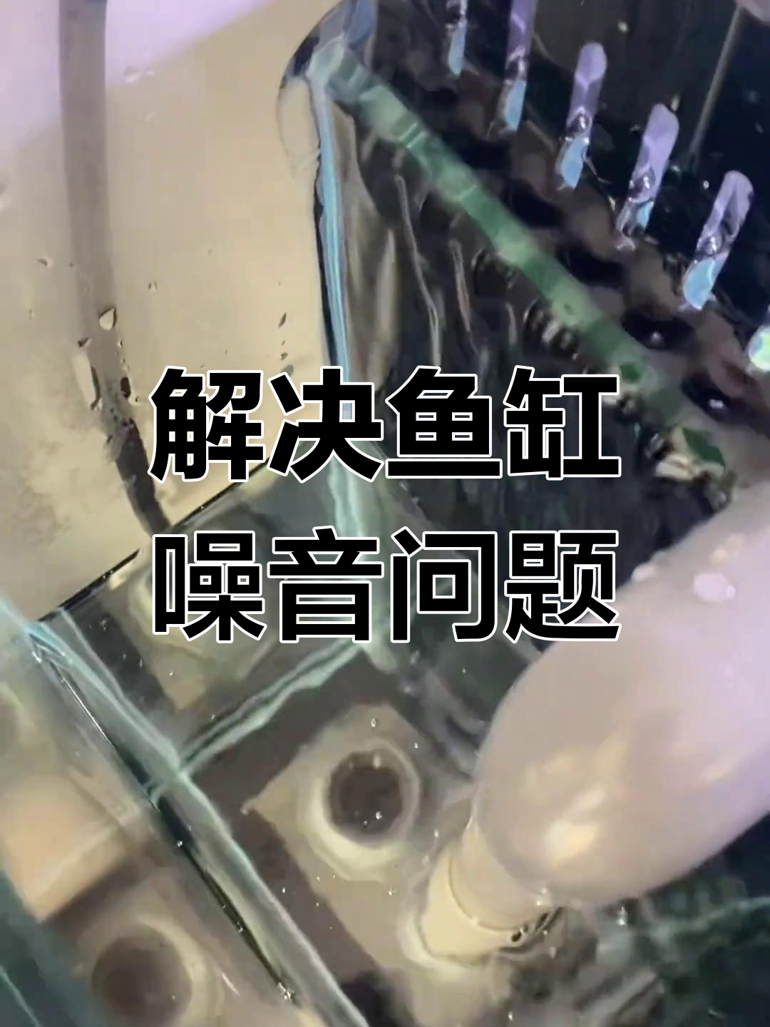 鱼缸噪音消除大作战:溢流阀、止逆阀全搞定