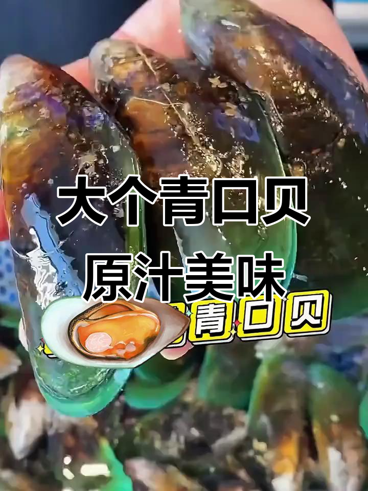 青口贝鲜美无比,肉多味浓,做法超简单