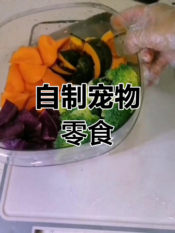 四岁比熊,自制健康零食,铲屎官必备技能!