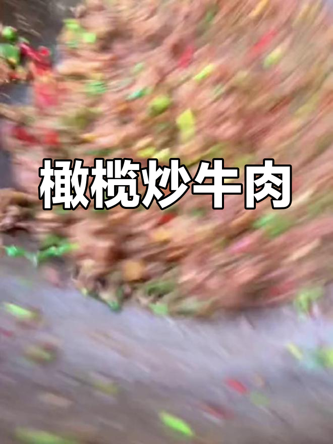 橄榄炒牛肉,独特美味体验