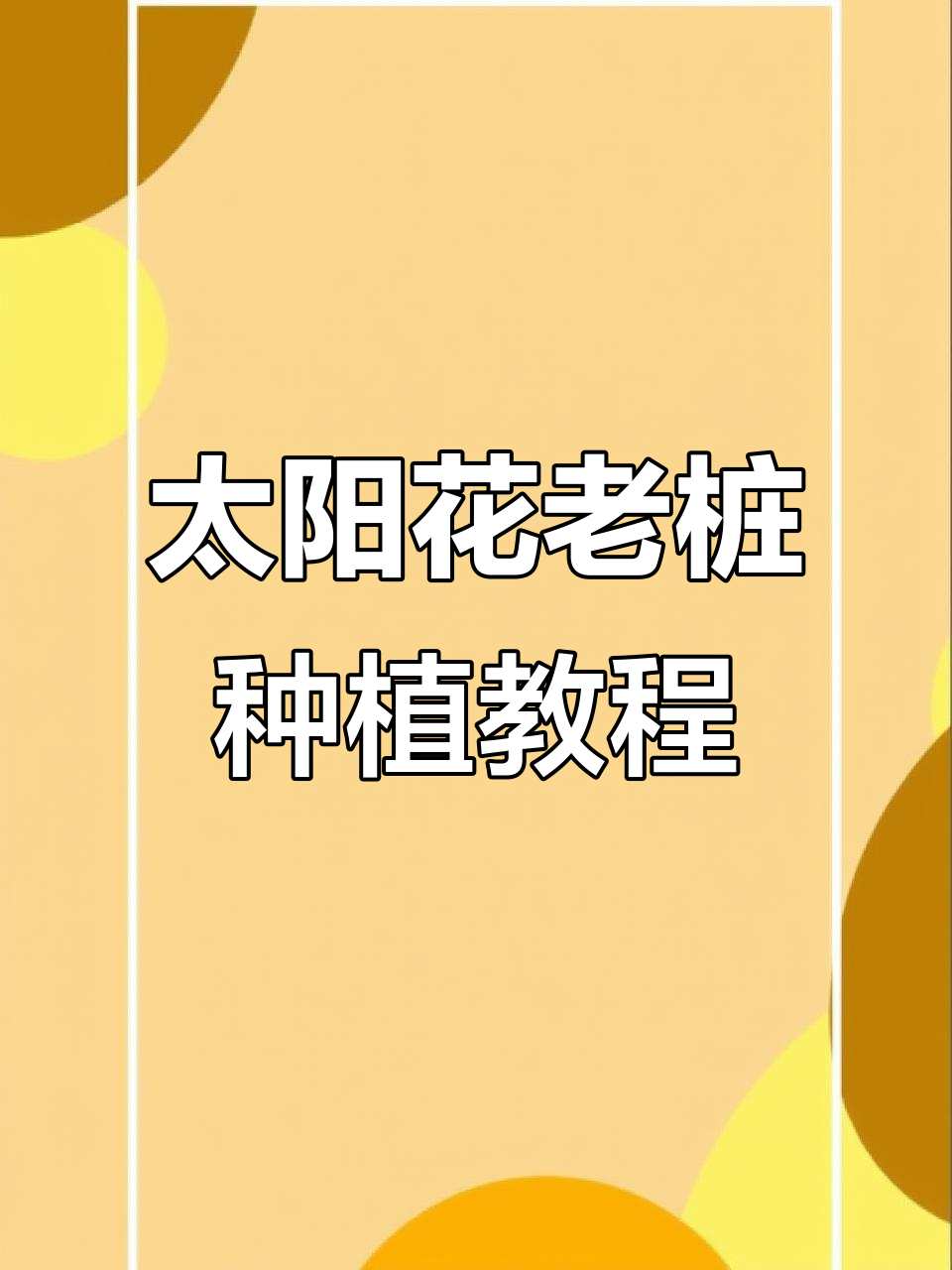 太阳花老桩造型技巧与养护方法，轻松打造独特多肉景观