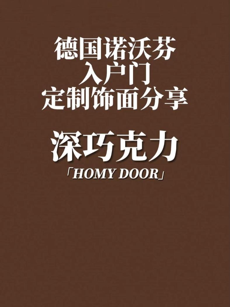 德式入户门,轻奢极简门,定制颜色,深巧克力效果 轻奢极简 防盗门 入户门 装修设计