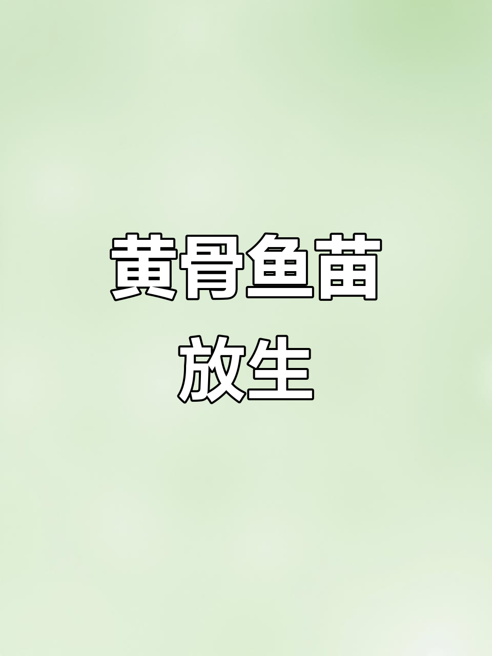 深圳罗湖鱼苗场放生黄骨鱼,潮汕传统仪式感满满