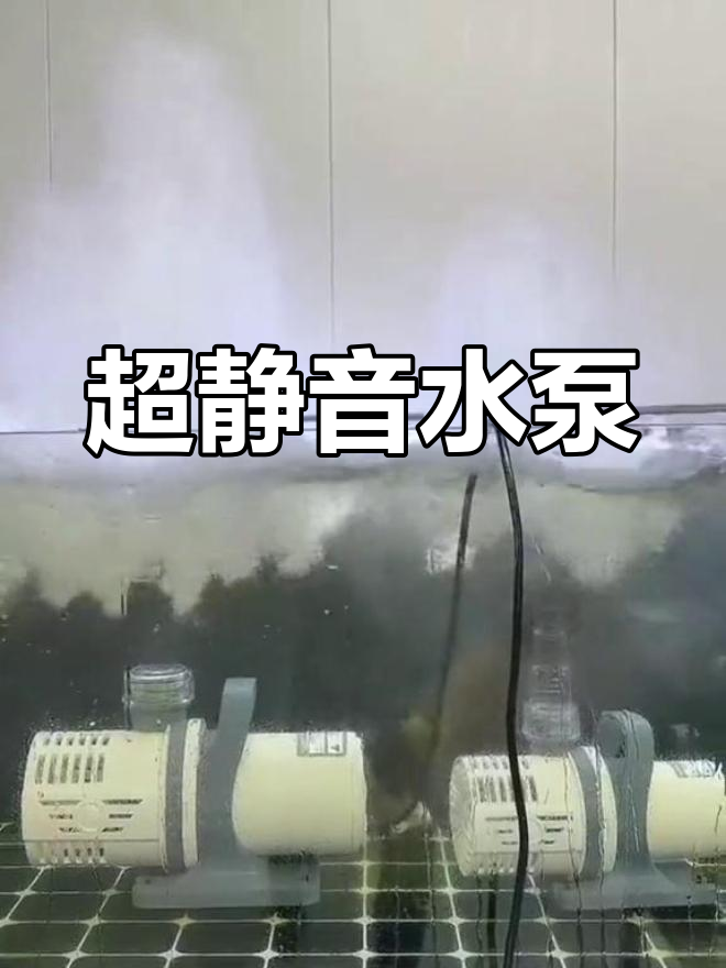 静音潜水泵,高效过滤循环,适用于鱼缸与水族箱