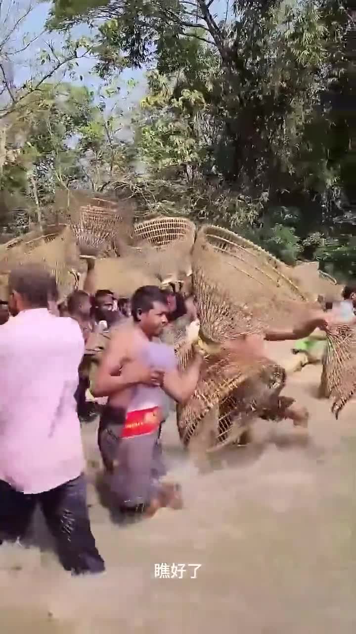 捕鱼大赛欢乐爆棚!不只是比赛,更是难得聚会