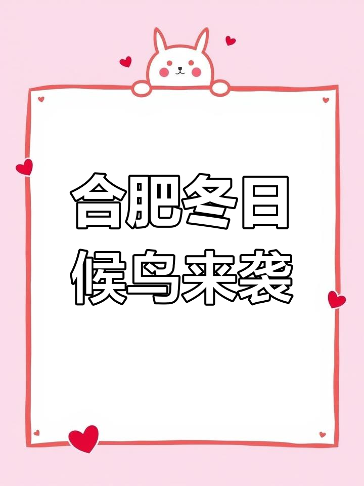 合肥冬季迎来候鸟迁徙,东方白鹳、小天鹅现身巢湖湿地