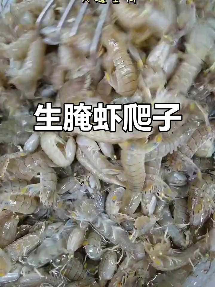 大连特色生腌虾爬子,简单又美味!